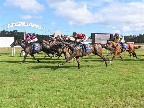 moruya race fields|Racing Information — Moruya Jockey Club .
